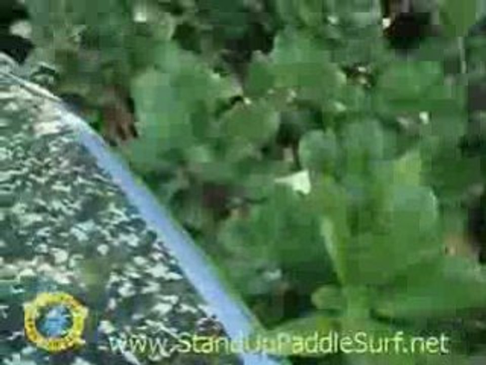 Brian Keaulana's 8-6 Board