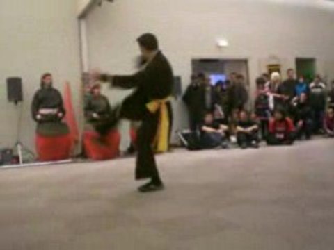 TGS 2008 Demo arts martiaux Le Tigre