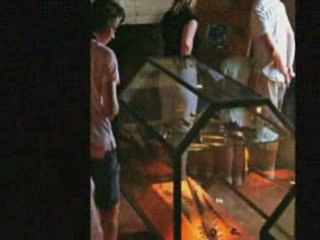 Le Château de Castelnaud- Présentation