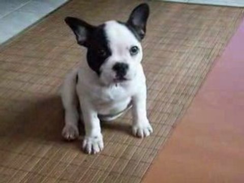 Tes paupières sont looouuuurdes