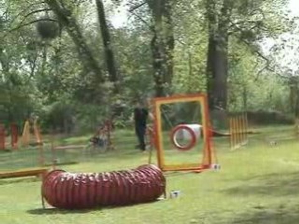 AGILITY 2ème degré