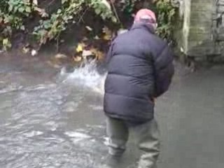 Nettoyage des frayères sur la selle