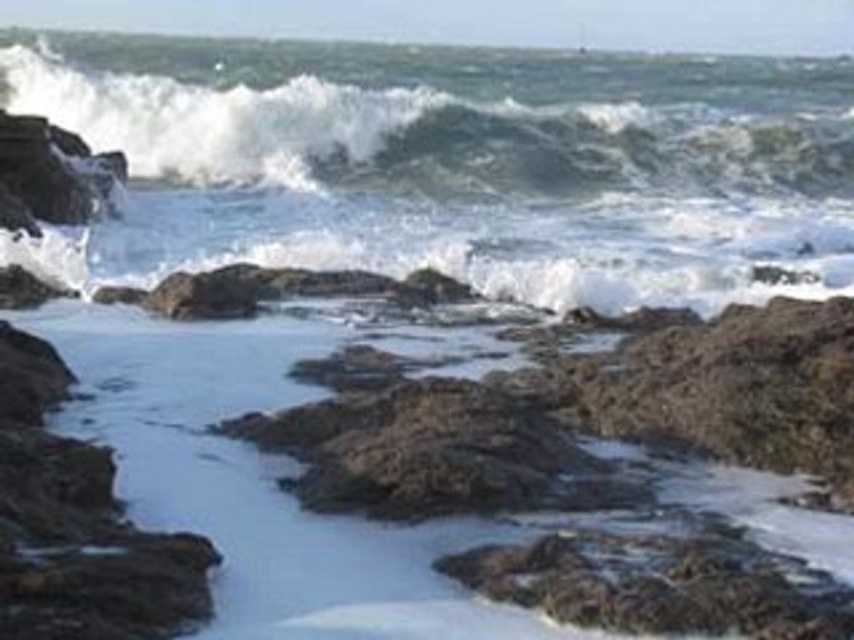 Tempete-Silverio-Placido-Desktop