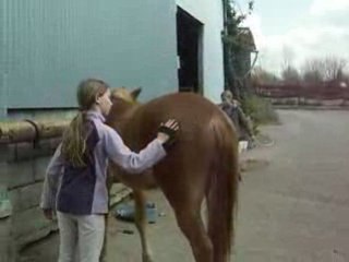 pansage avec paradis
