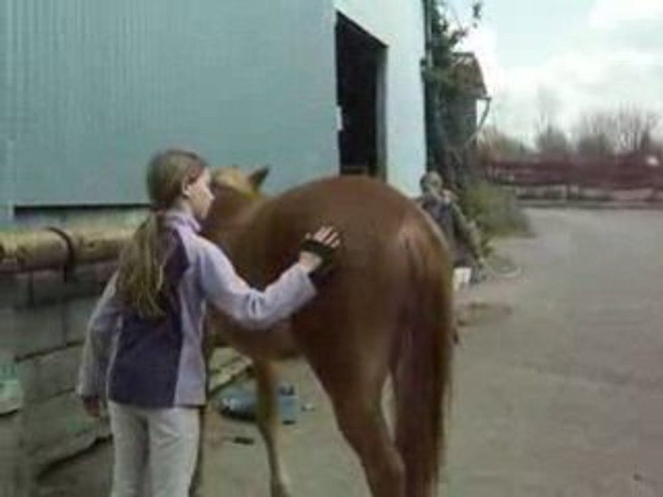 pansage avec paradis