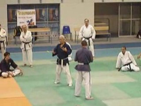 Yoseikan Budo Stage Mochizuki Sarrebourg 2008