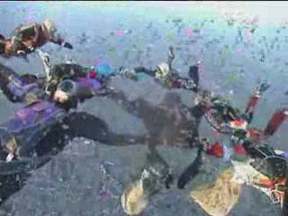 DELIRES LIBELLULESQUES