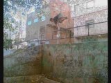 Parkour tetouan zh