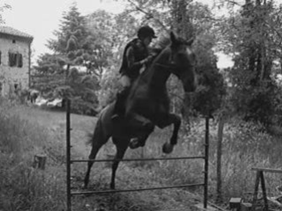 Vidéo souvenir de Champion