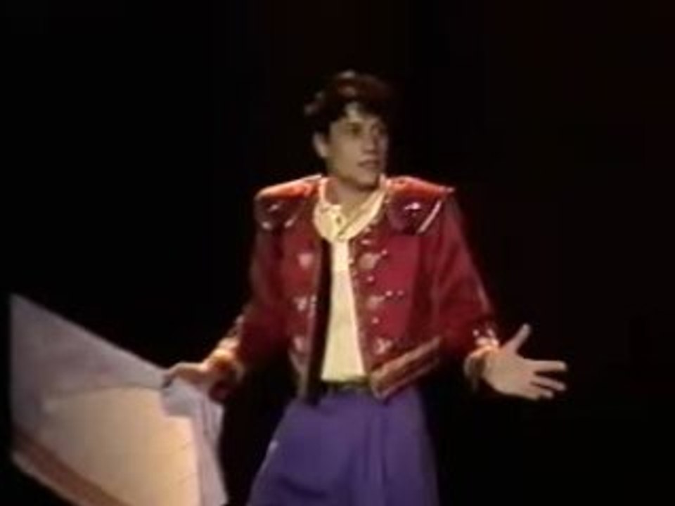 Laurent Violet - La Tauromachie