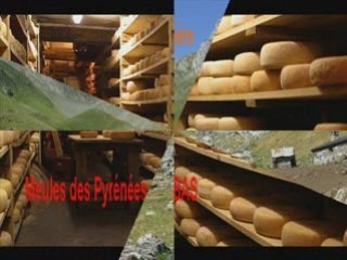 En passant par les monts béarnais