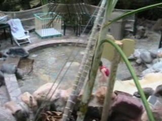 Toboggan Center Parcs