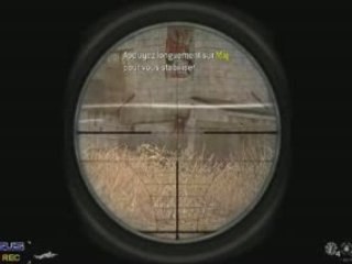 double head shot cod4