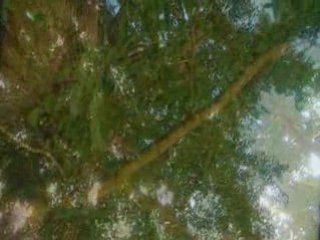 Arbre miracle documentaire 5/5