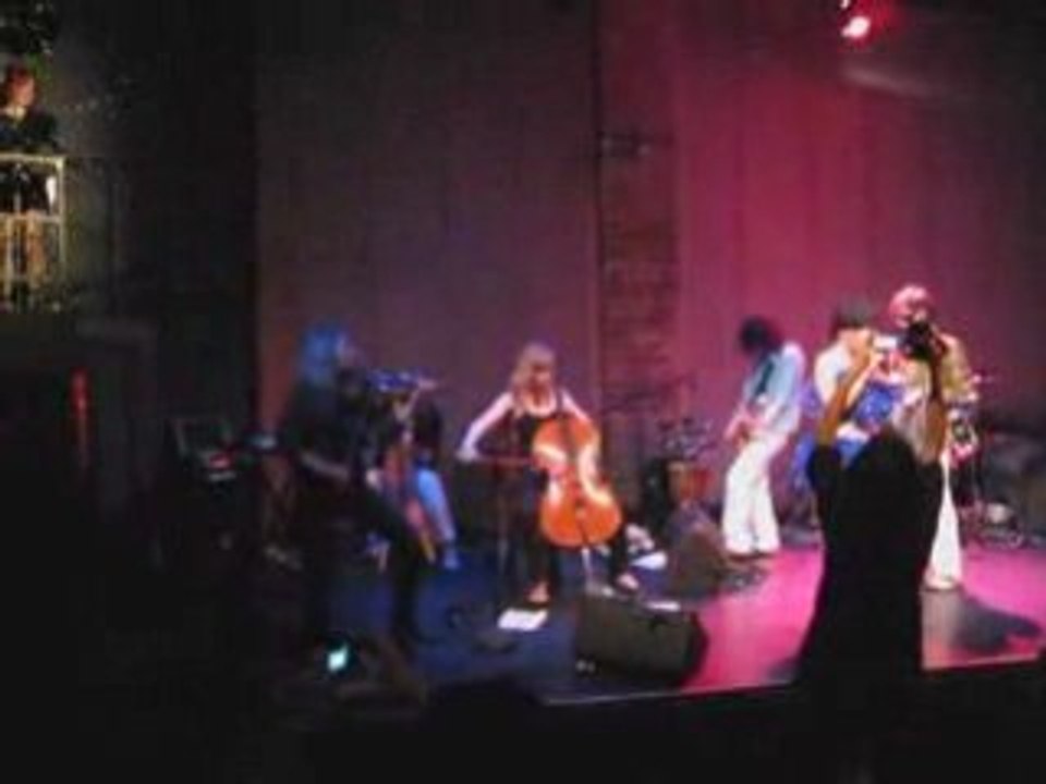 Bambi_Birds of America_20081108