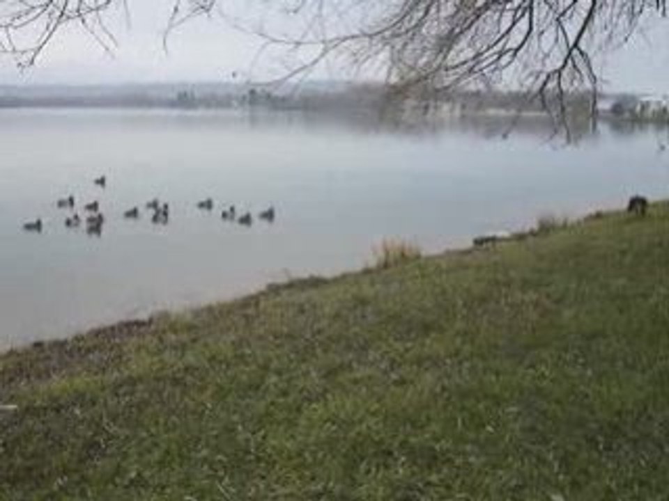 MOV04772