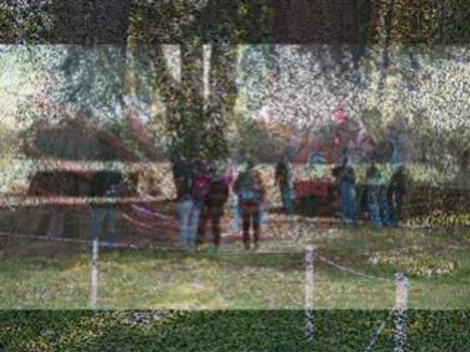 Reco de cross