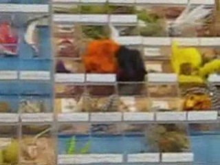 Saltwater Fly Fishing Store in New Orleans Louisiana