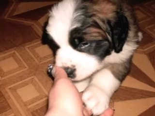 DLA ANDRZEJKA OD ASI