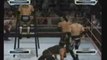 Ladder Match - Curt Hawkins and Zack Ryder vs. The Hardys