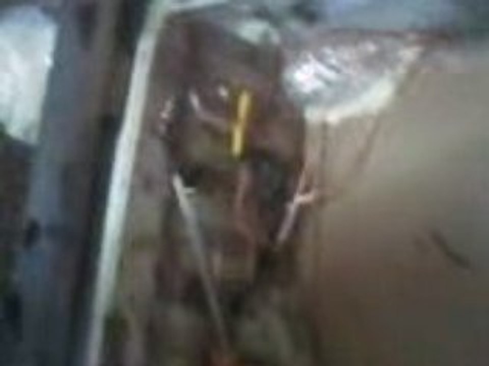 Vidéo72