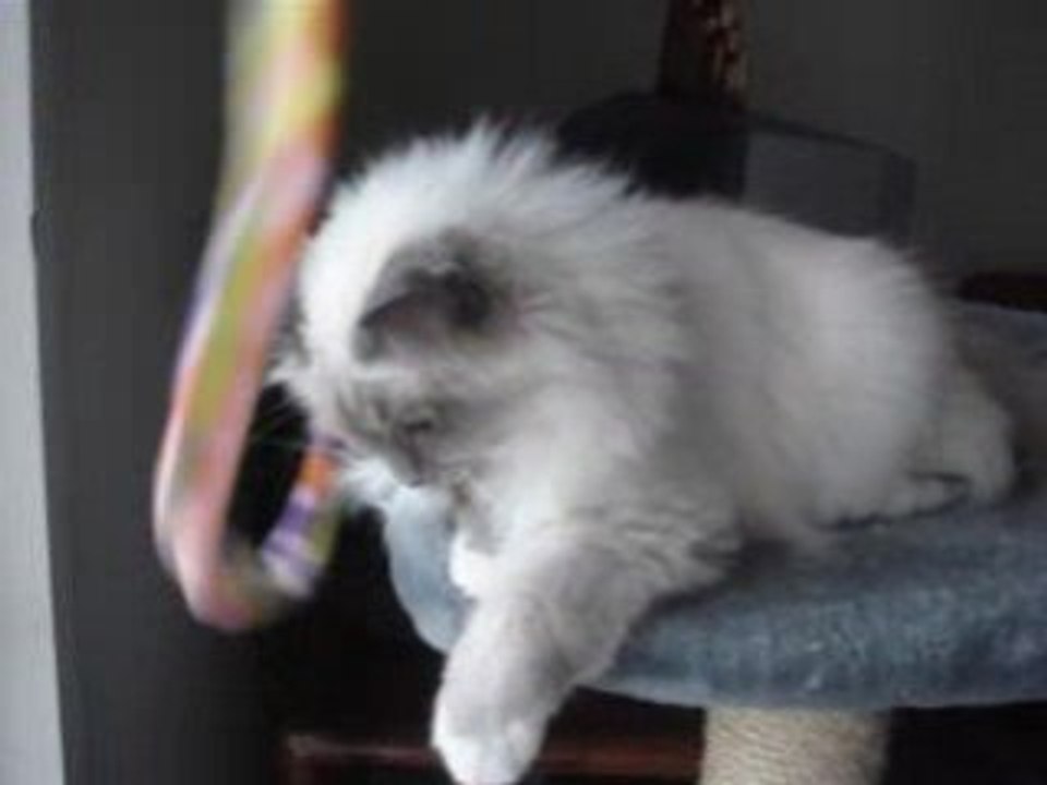 YOTA N'A PAS ENVIE DE JOUER