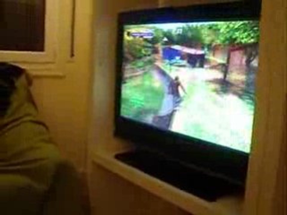 tony hawk session