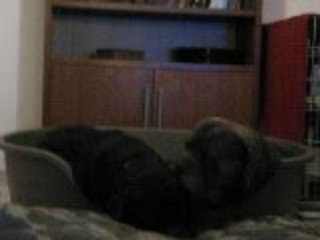 erwan et titi....un petit couple mdr