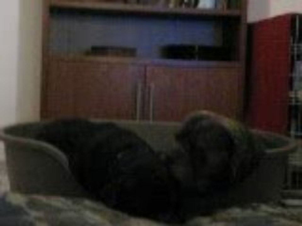 erwan et titi....un petit couple mdr