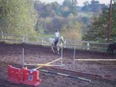 Cours d'obstacle avec Laurence