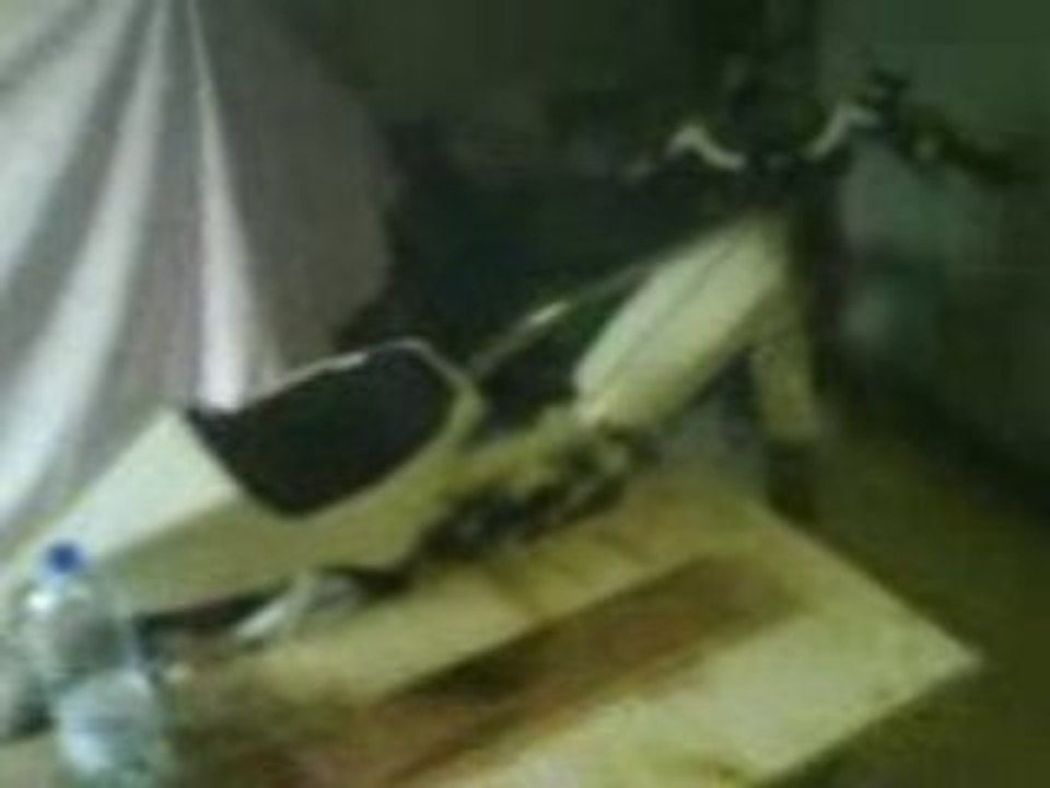 mout mobil  rieju smx