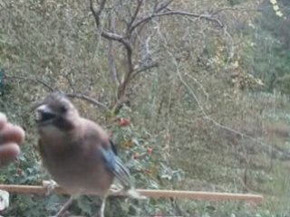 Nekadar güzel bişe idi bi bilseniz