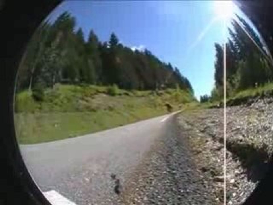 DownHill Longskating