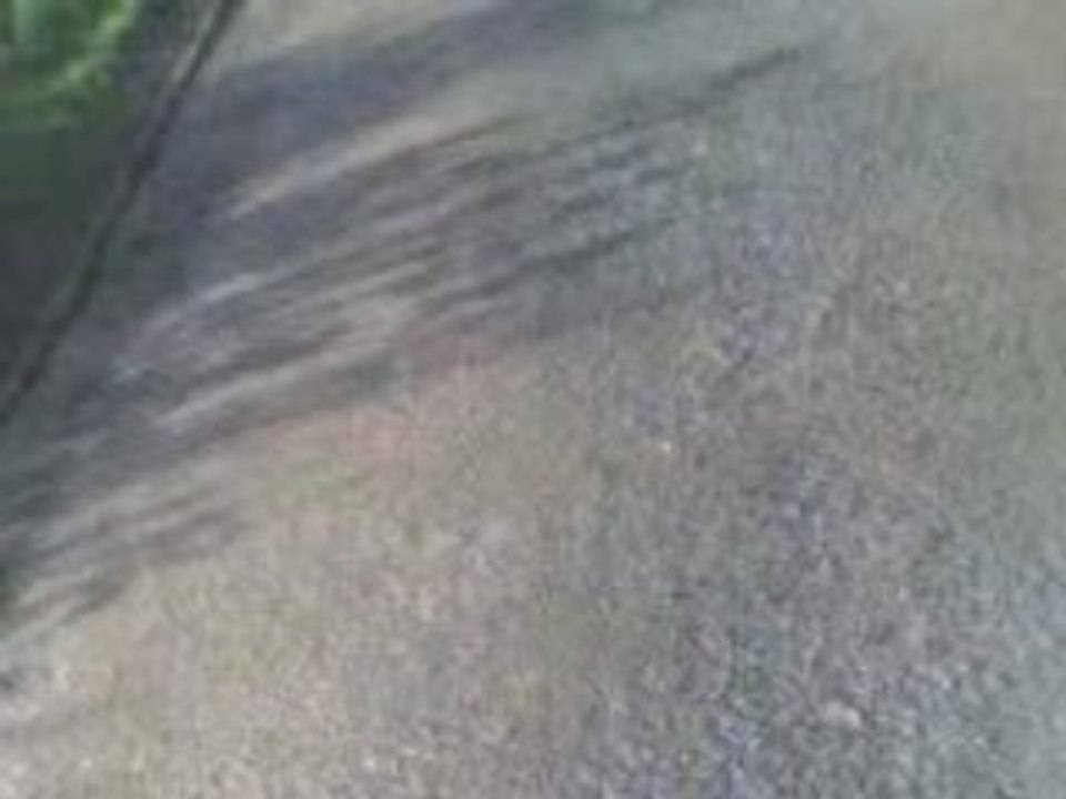 MOV00005