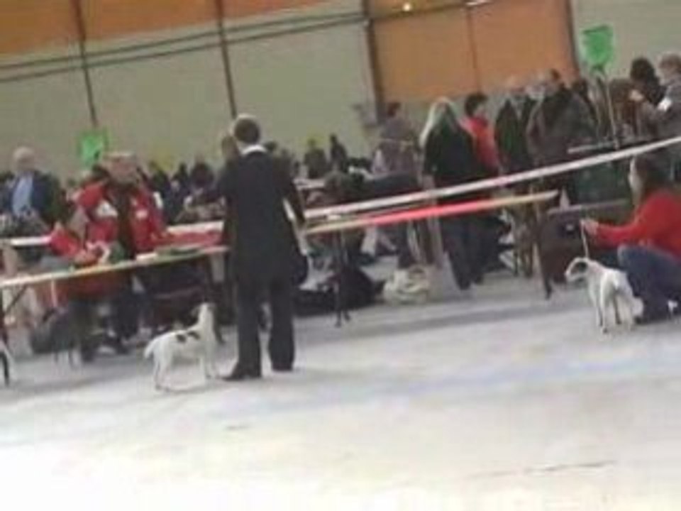 02 02 2008 expo de Chalons en Champagne SHANA