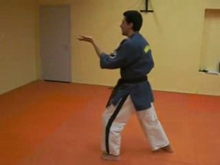 Kata 5 elements du KIADO