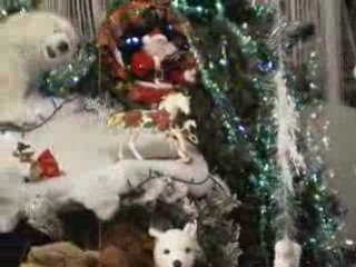 Vitrine 08/12 Décembre 2008 Noël