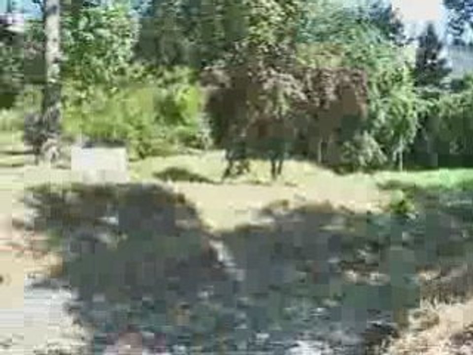 Airsoft06250