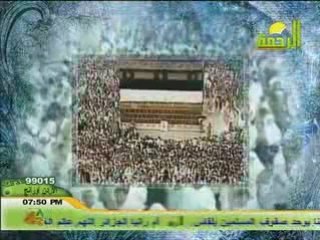 Arafat - Mohamed Hassan