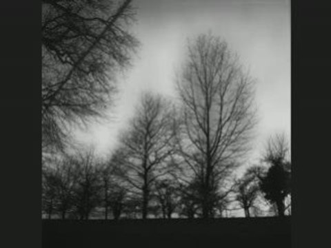 Sourate Az-zalzala - La secousse