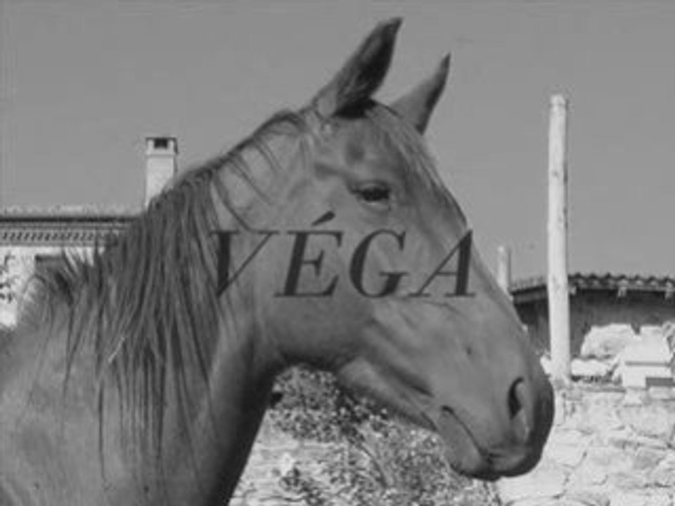 Hommage à Véga ...