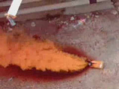 Rca vs Est (Ultras Eagles)