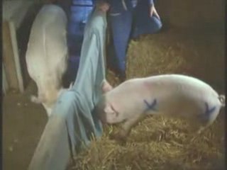 commen vinceneil est ne