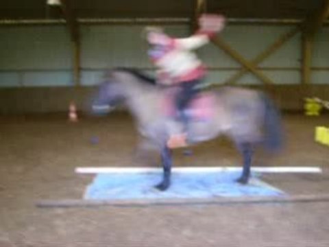 Défi : Passer sur une bache au trot -Clémentine et Idahna -