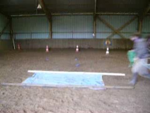 Défi : Passer sur la bache au trot - Ophélie et Guaita -