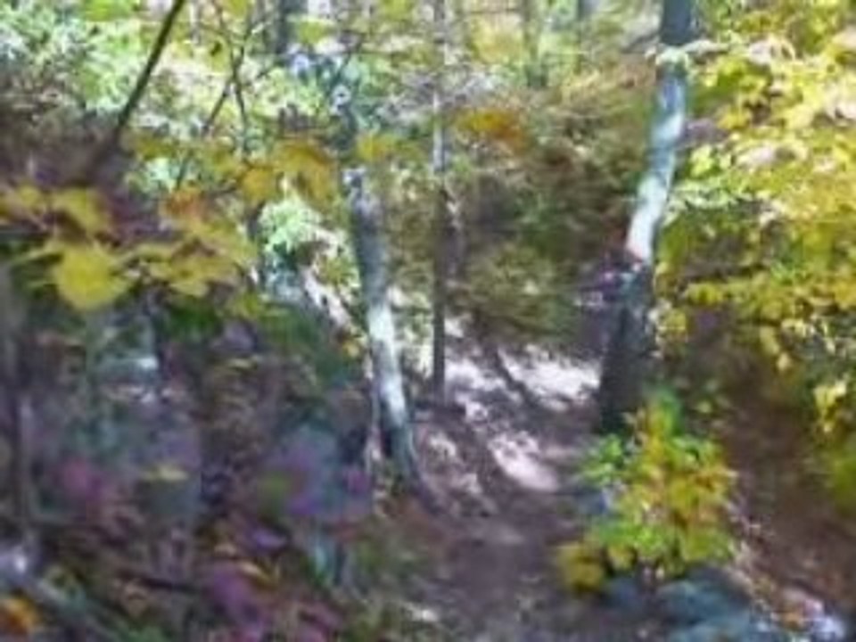 Ridge Trail