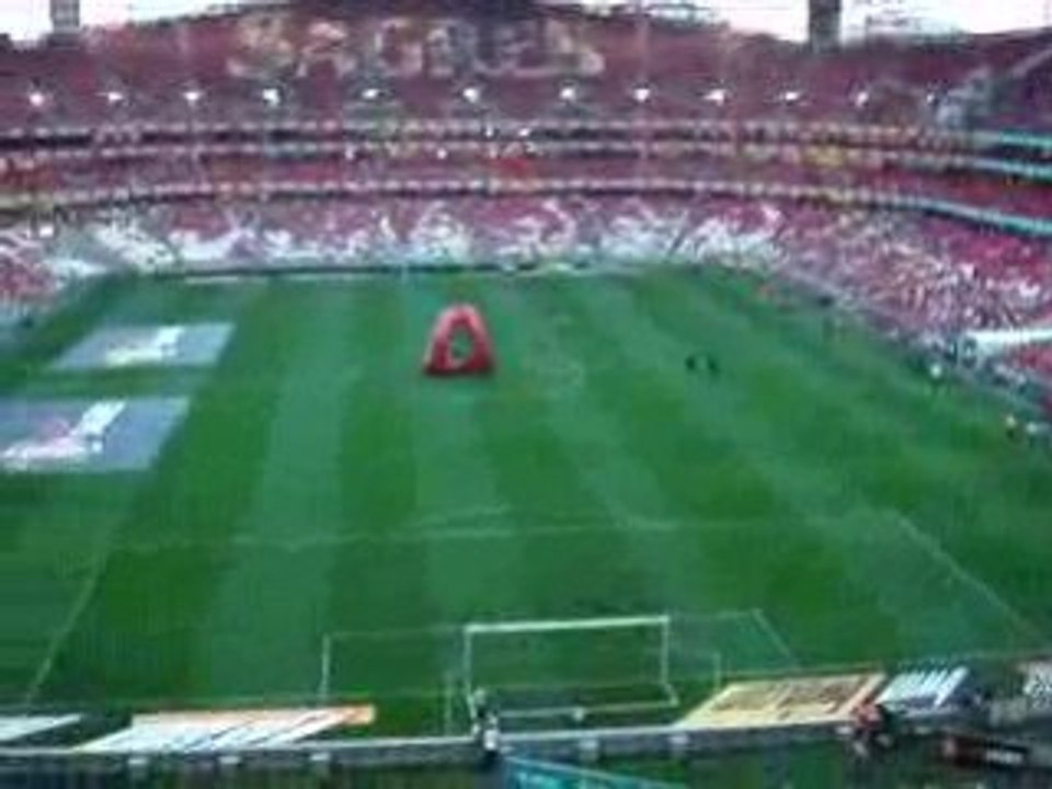 benfica-porto 2008