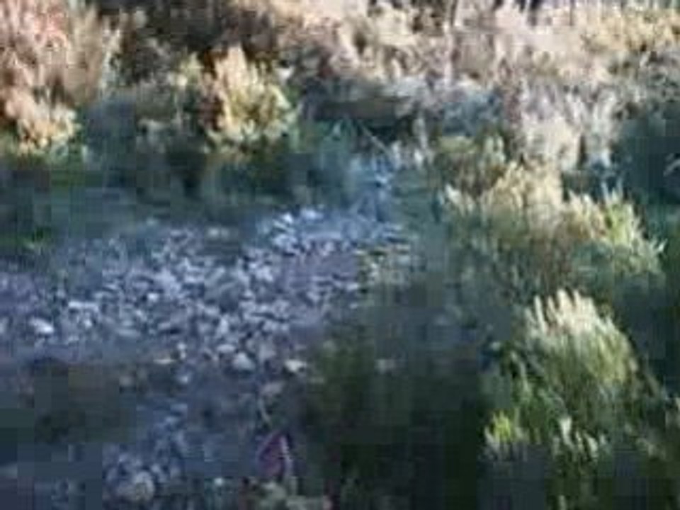 Single Enduro Partie1- Videauban