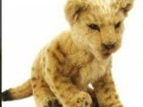WowWee Alive Lion Cubs Plush Robotic Toys in Tan, Toy Toy!