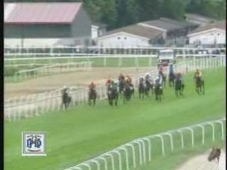 2008 (257) Premio Peña Hípica Donostiarra (H) (CRAZY FLING)